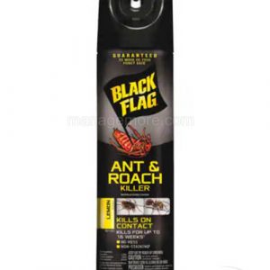 Black Flag Roach Killer 11OZ