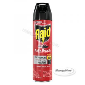 Raid Ant & Roach Spray 17.5OZ