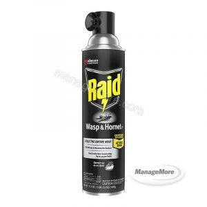 Raid Wasp & Hornet 17.5OZ