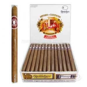 Ayc Grenadier 25/UNIT: Coronal Candela Light
