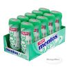 Mentos Gum 10CT - Peppermint