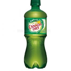 Canada Dry Ginger Ale 20OZ / 24CT