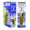 Wild Hemp Cigarillos (500MG) With Tips - 10 Pouches /BOX - Blueberry Widow