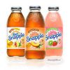 Snapple 16 OZ 12/CS - Apple