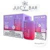 Juicy Bar 5% Dispo 5K Puffs (130ML) 10/BOX - Blue Raspberry