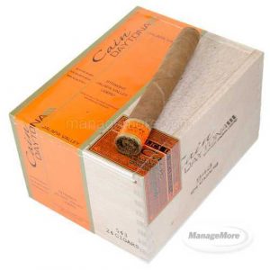 Oliva Cain Daytona 24/BOX: No 4 (5X43)
